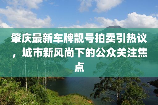 肇慶最新車牌靚號拍賣引熱議，城市新風(fēng)尚下的公眾關(guān)注焦點