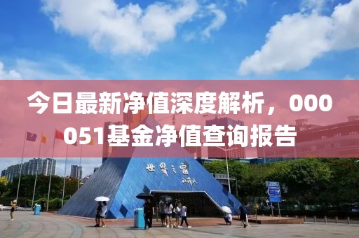 今日最新凈值深度解析，000051基金凈值查詢報告
