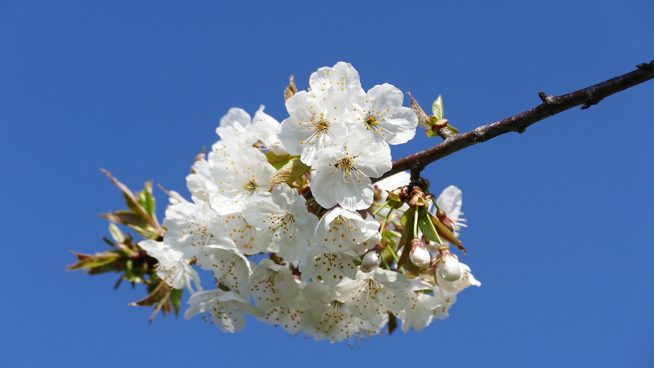 興永郴贛鐵路進(jìn)展順利，助力區(qū)域經(jīng)濟(jì)發(fā)展新動態(tài)
