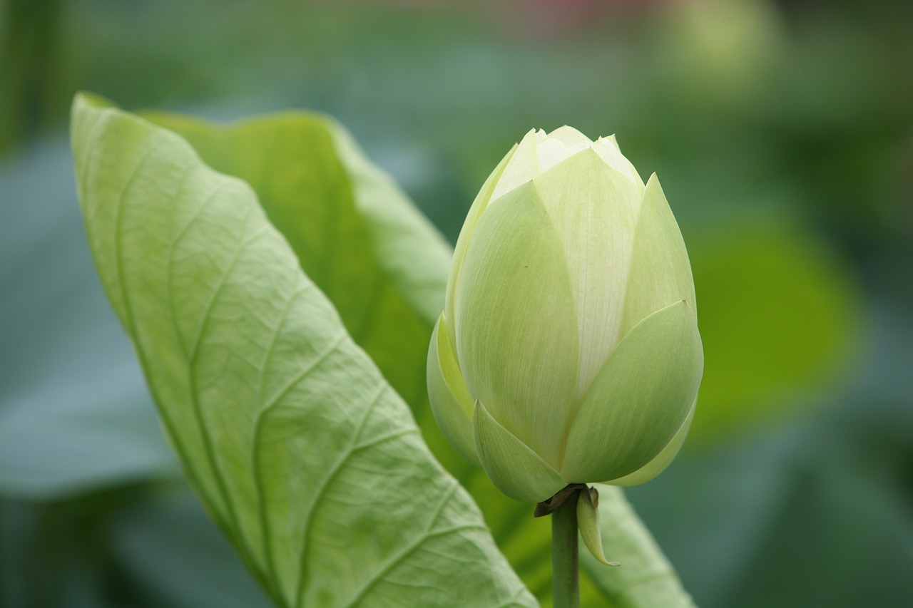 大地傳媒重組最新動態(tài)，重塑傳媒產(chǎn)業(yè)格局取得重大進(jìn)展