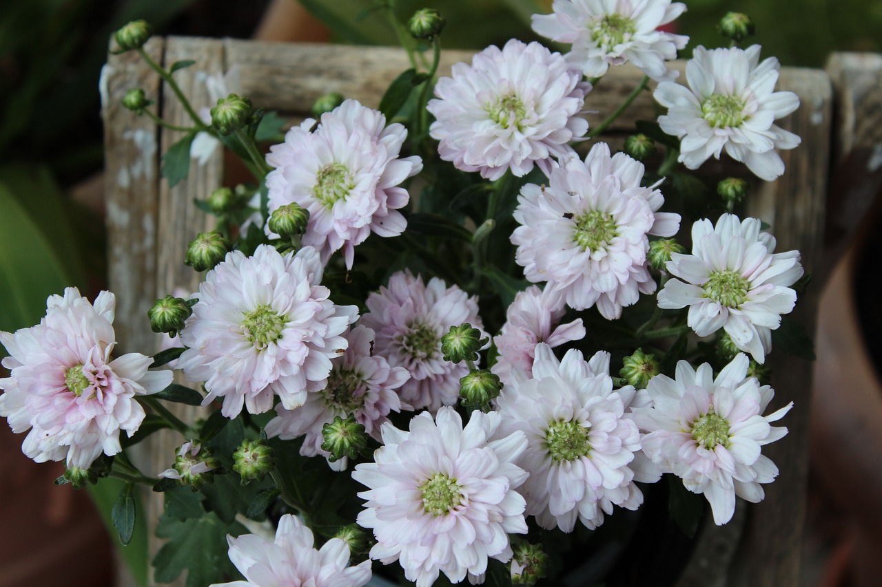 丹陽(yáng)昆侖華府最新動(dòng)態(tài)解析，深度了解最新消息