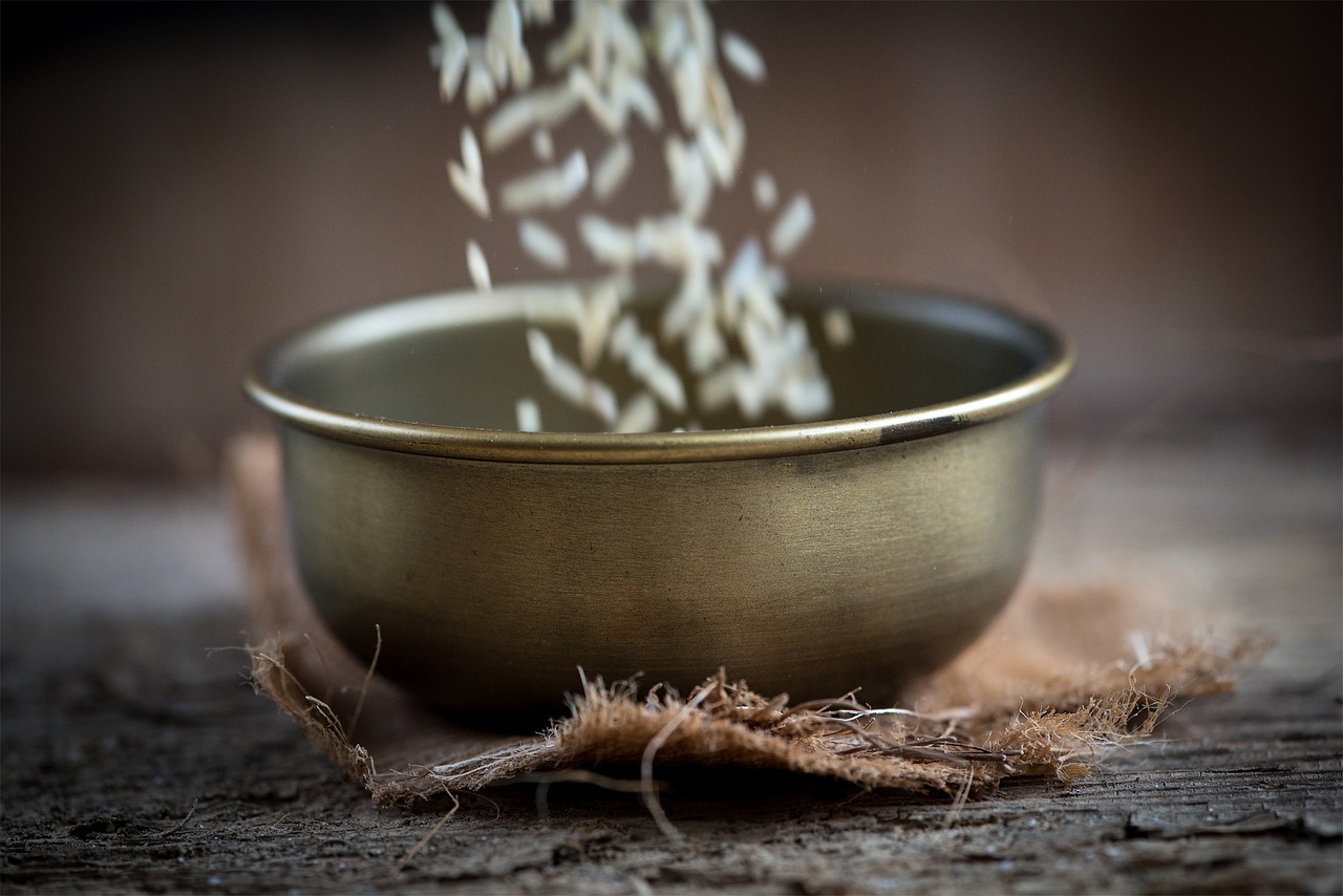 湛江御景珺庭最新動(dòng)態(tài)揭秘，城市璀璨明珠的隱藏魅力