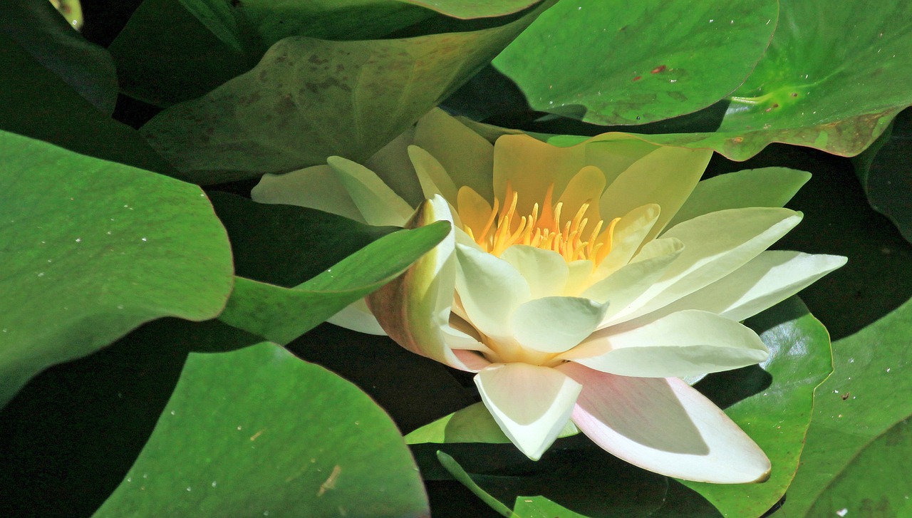 江門瓏湖灣未來繁華啟幕，最新動態(tài)揭示未來發(fā)展新篇章