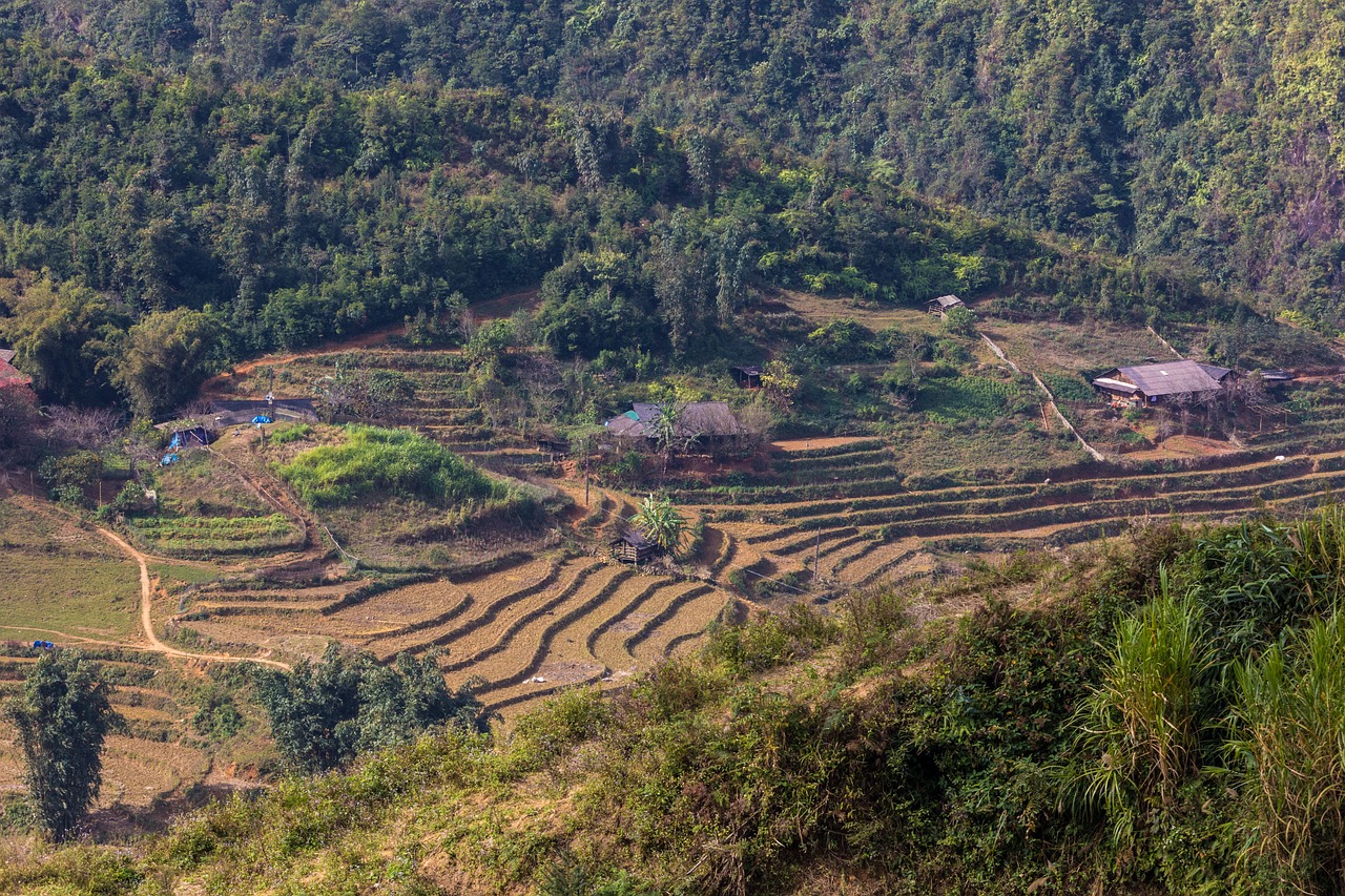 符離鎮(zhèn)最新規(guī)劃圖揭曉，展望繁榮未來(lái)，符離鎮(zhèn)2016規(guī)劃展望