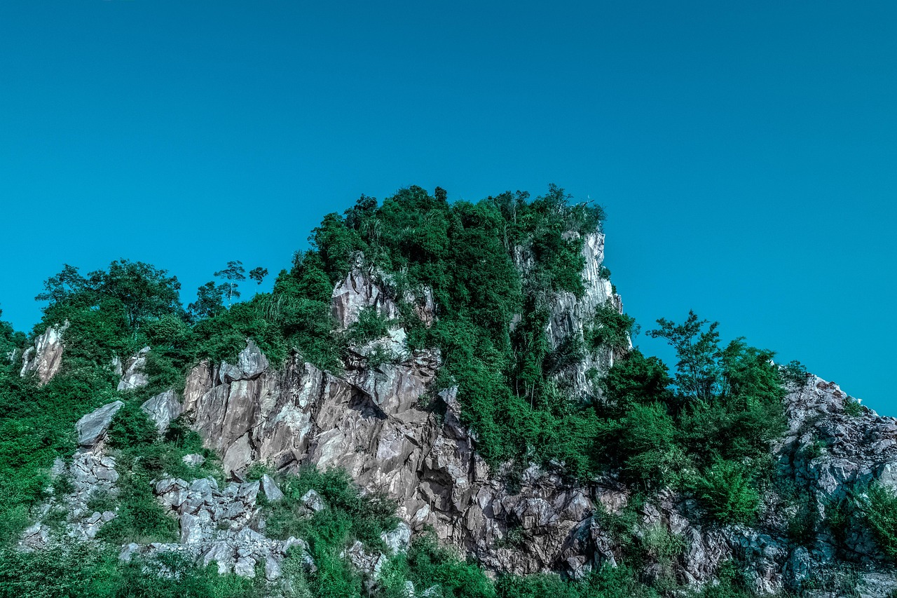 傳藝科技股票最新消息綜述，掌握最新動態(tài)，洞悉股市走向