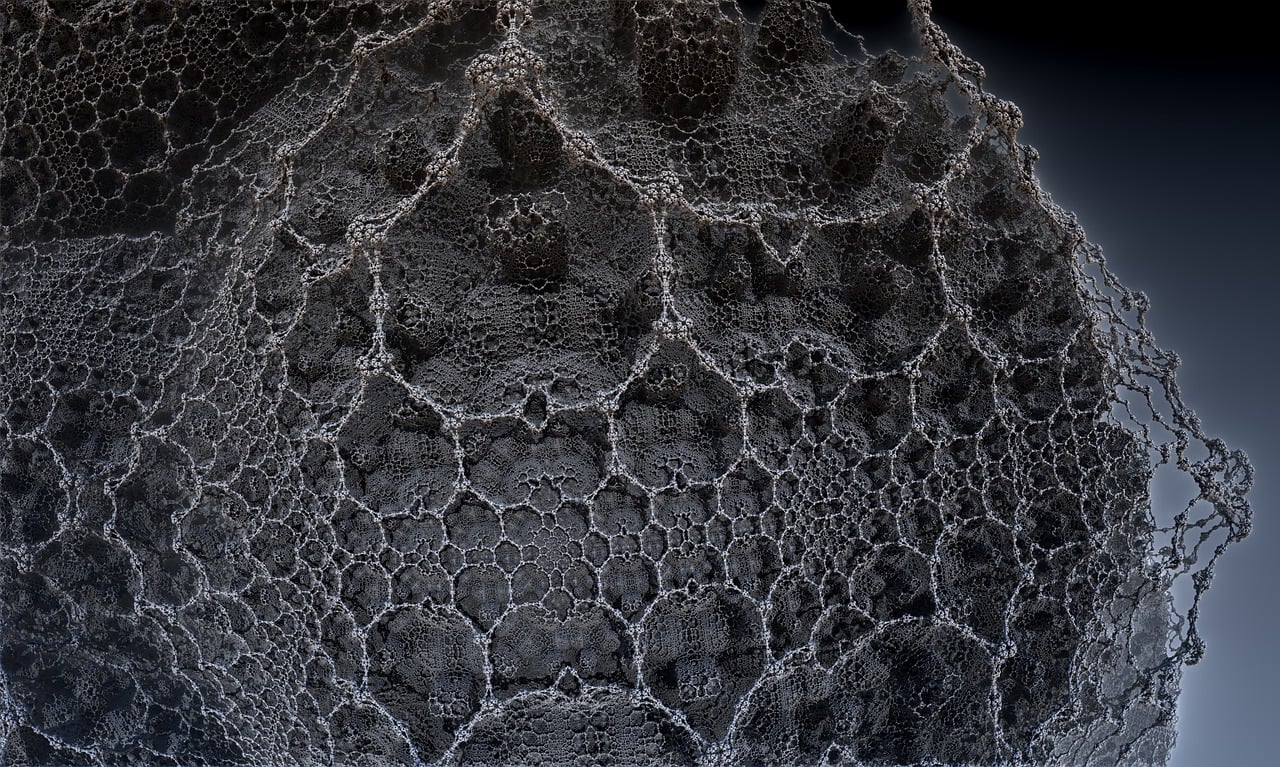 遼寧隋顯利最新動(dòng)態(tài)，傳奇人物的嶄新篇章