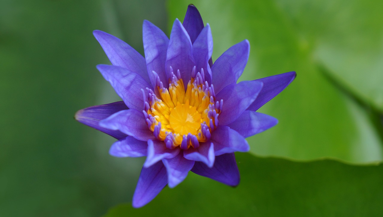 雙陽區(qū)火車站邁向現(xiàn)代化，提升服務(wù)質(zhì)量，最新動(dòng)態(tài)報(bào)告