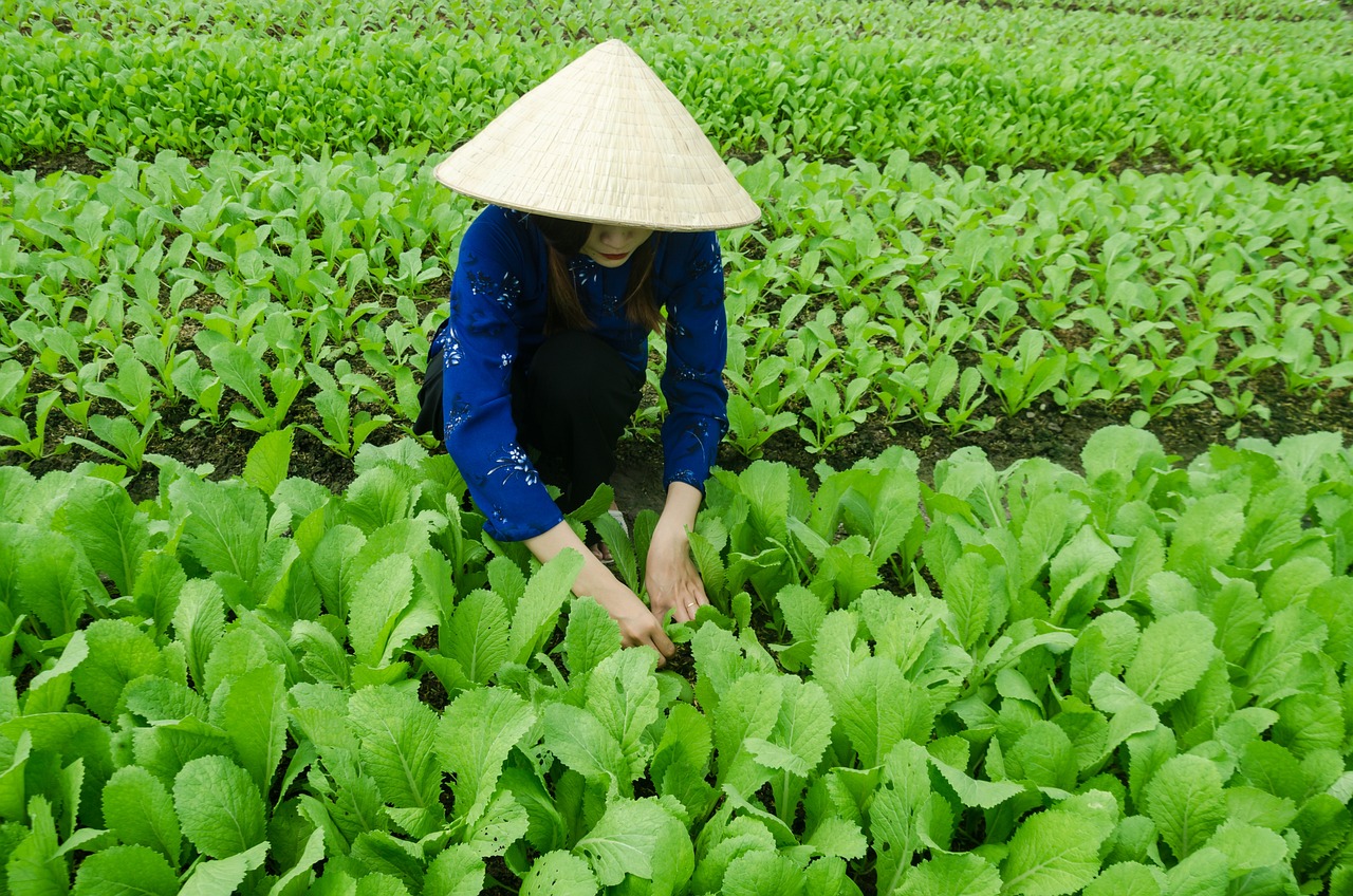 甬金鐵路最新動(dòng)態(tài)，嵊州發(fā)展與鐵路聯(lián)動(dòng)推進(jìn)