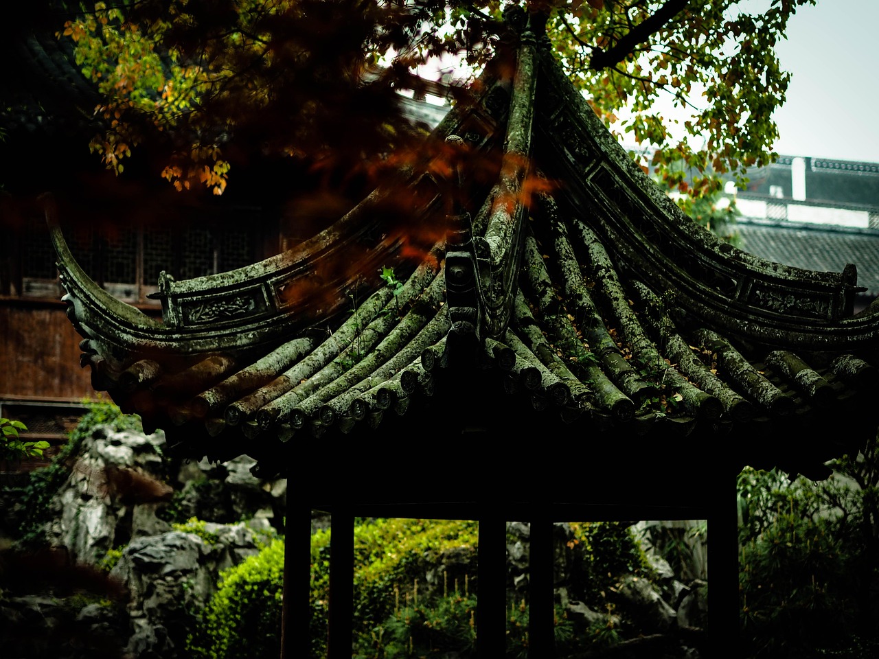 中國(guó)女排隊(duì)蓄勢(shì)待發(fā)，展現(xiàn)新篇章，最新消息與動(dòng)態(tài)速遞