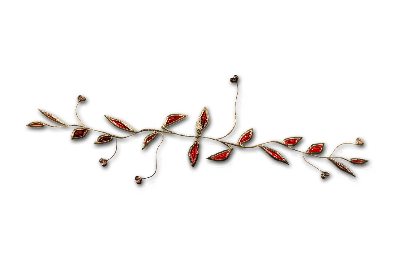 廣西大紅八角產業(yè)蓬勃發(fā)展，前景廣闊，最新消息與動態(tài)