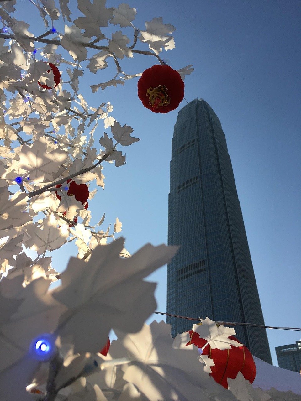 漫漫長夜新版本砍樹探索，全新體驗之旅