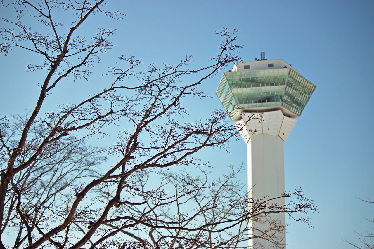 決斗之城最新動態(tài)，新時代卡牌競技盛宴揭秘